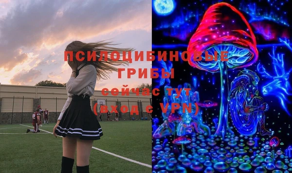 дурь Козловка