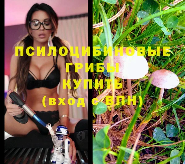 дурь Козловка